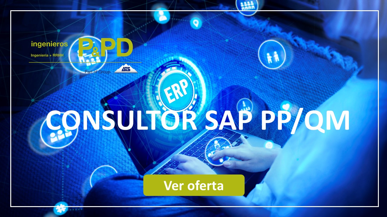 CONSULTOR/A SAP PP / QM