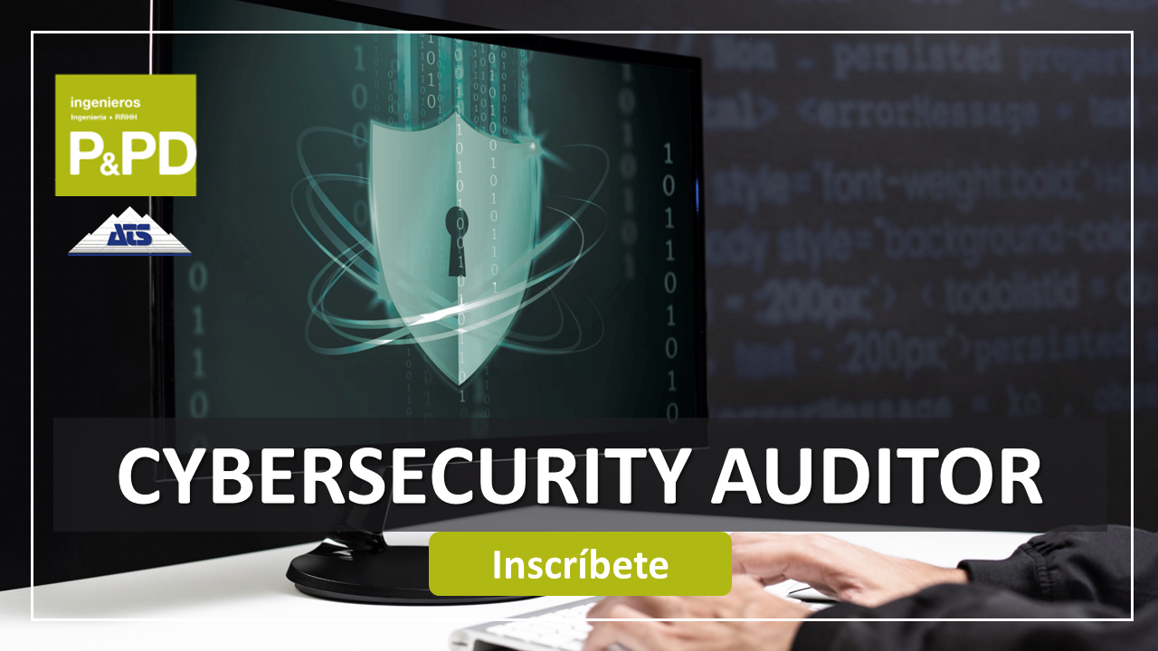 CYBERSECURITY AUDITOR