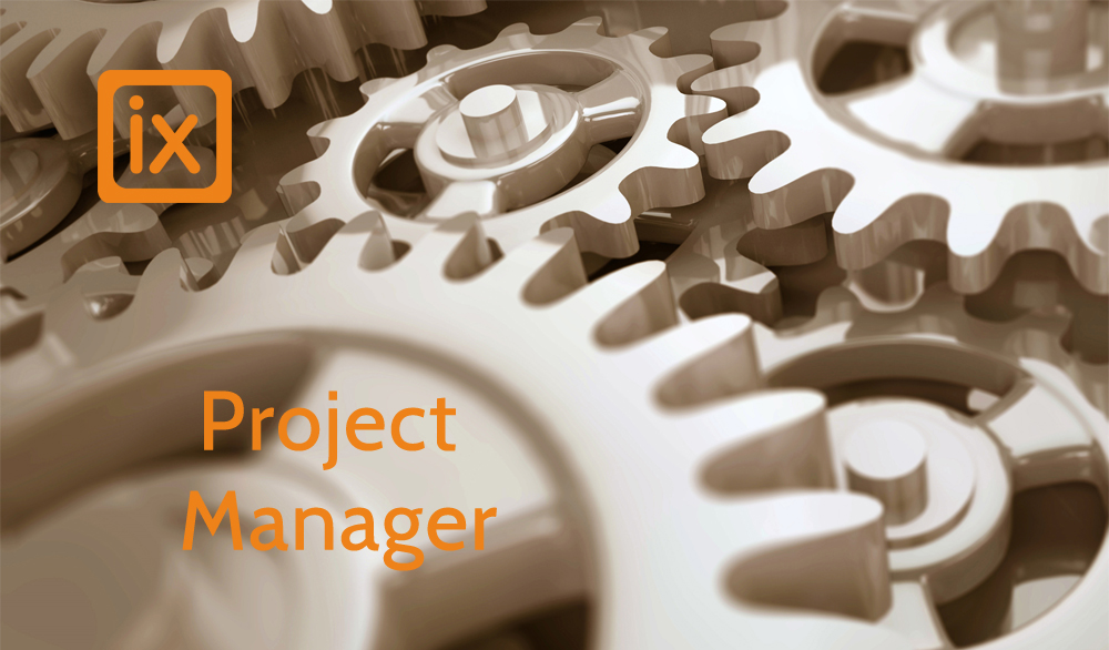 Project Manager Consultant
